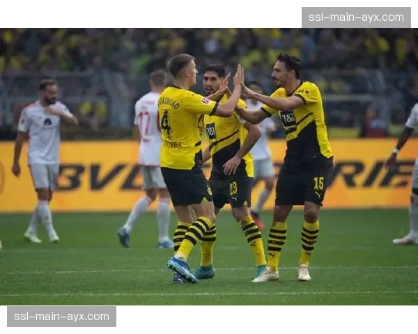 德国足球职业联盟调查球场内歧视性事件，涉及多特蒙德与柏林联比赛