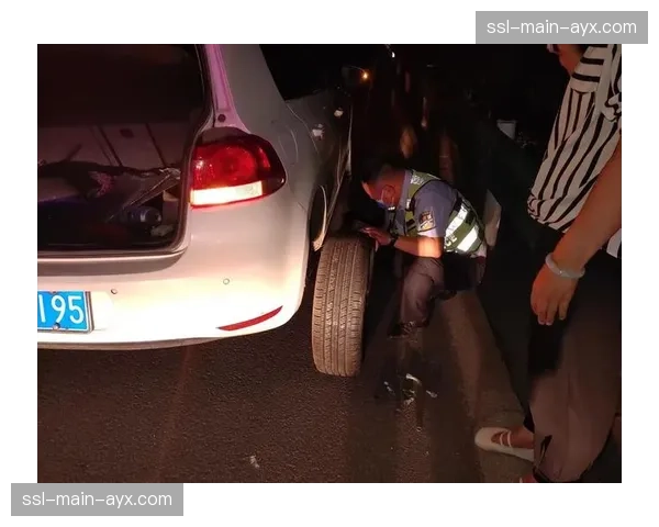 范德普尔阿伦堡森林爆胎灾难：逆车流50米取车损失两分钟